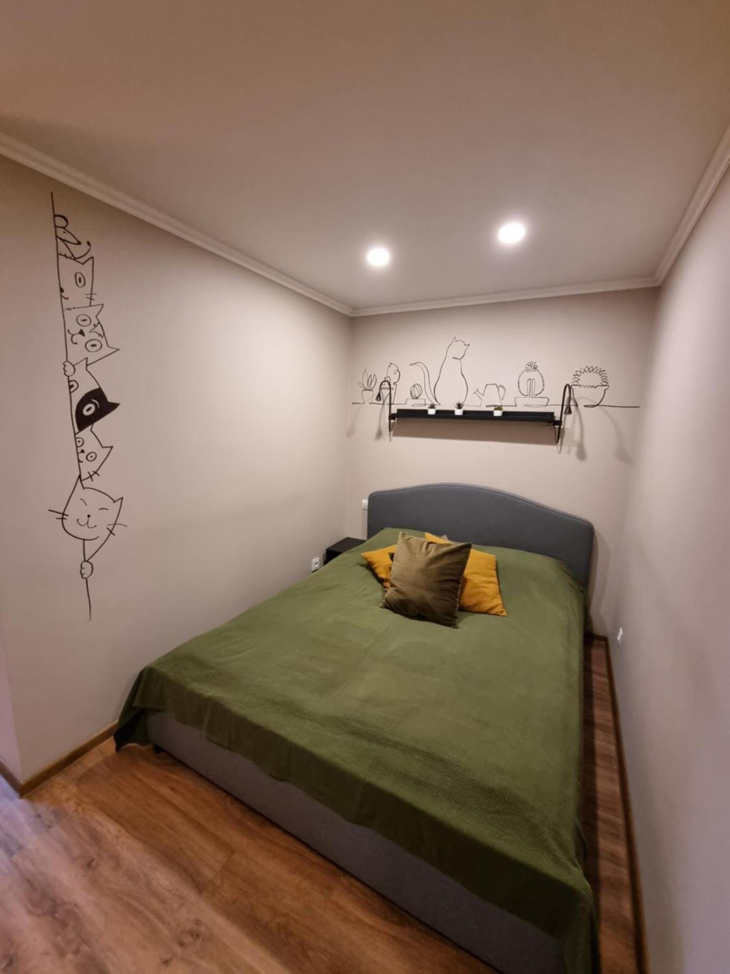 Apartamenti Aluksne Bagian luar foto